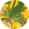 Shop Shenron Designs