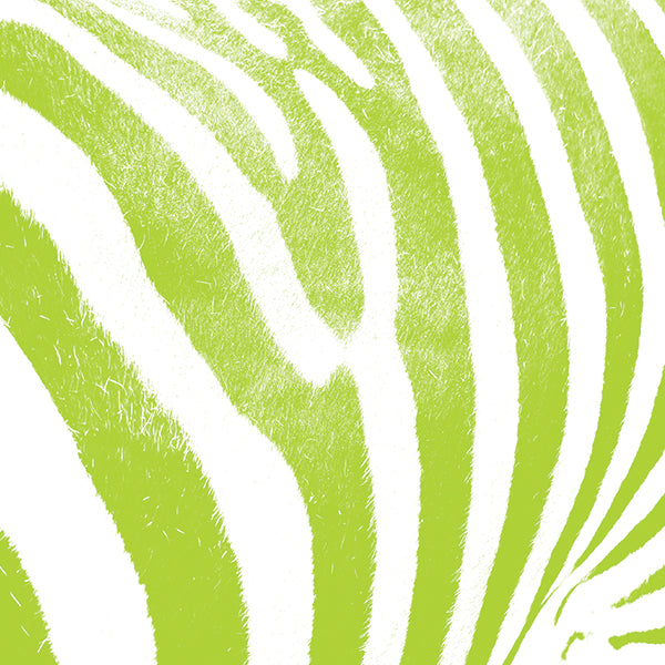 Citrus Zebra Animal Print Color Pop Surface Laptop Skin