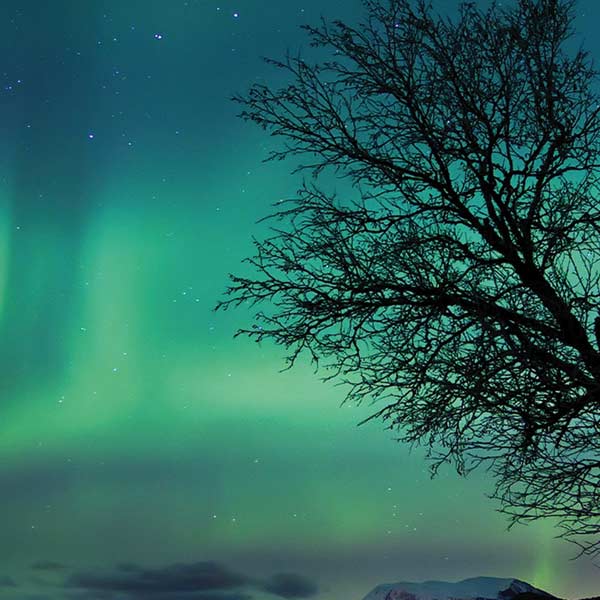 StockTrek Aurora Borealis over a lake in Norway iPhone XS Pro Case