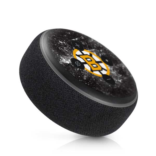 NHL Boston Bruins Iced Amazon Echo Dot Skin