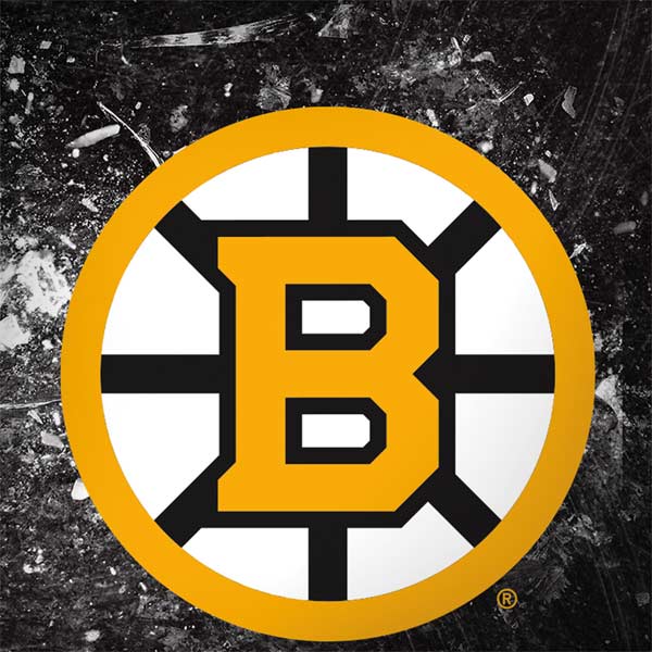 NHL Boston Bruins Iced Galaxy Note 8 Skin
