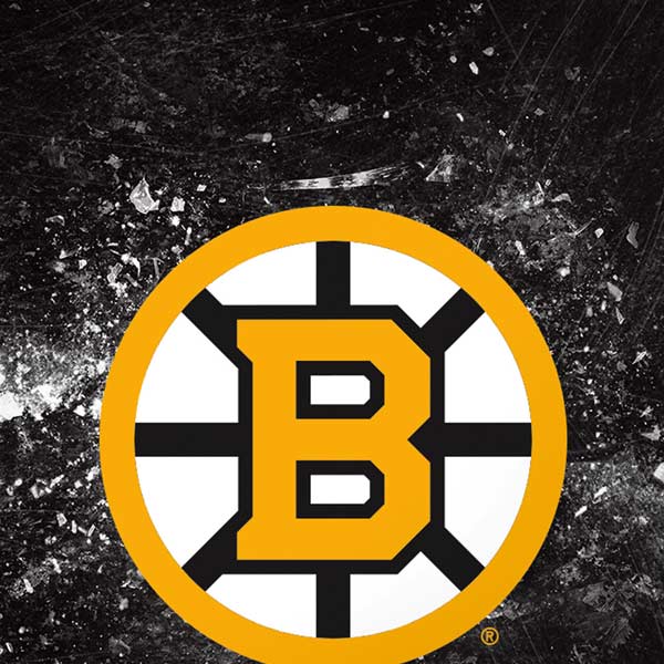 NHL Boston Bruins Iced iPhone XR Skin