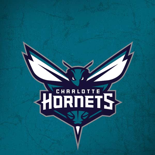 NBA Charlotte Hornets Distressed iPhone X Skin