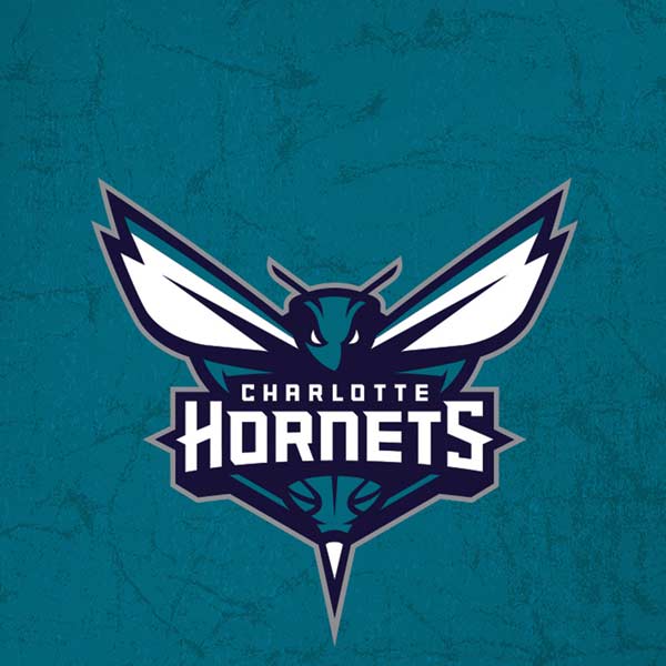 NBA Charlotte Hornets Distressed iPhone XS Max Skin