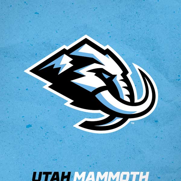 NHL Utah Mammoth Distressed Blue iPhone XR Skin