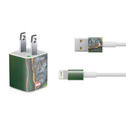 Marvel Dr. Doom Portrait iPhone Charger (5W USB) Skin