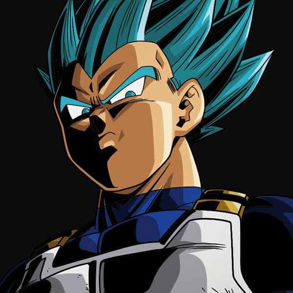 Dragon Ball Super Vegeta iPhone XS Pro Case