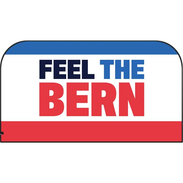 Feel The Bern Nintendo Switch 2 (2025) with Joy-Con Skin