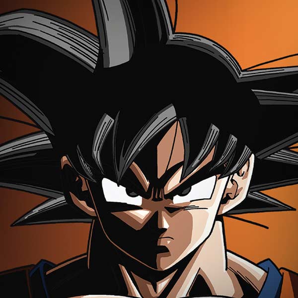 Dragon Ball Z Goku Portrait iPhone X Skin