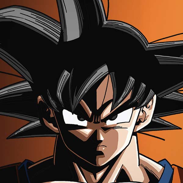 Dragon Ball Z Goku Portrait iPhone XS Max Skin