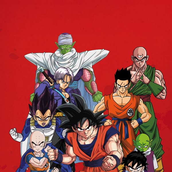 Dragon Ball Z Group iPhone XS Pro Case
