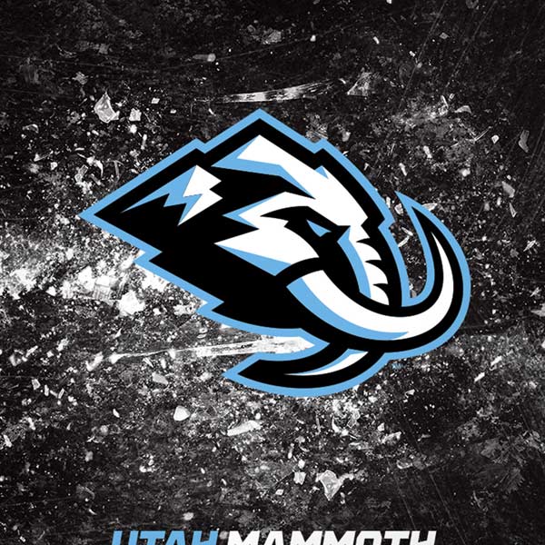 NHL Utah Mammoth Ice Frost iPhone XR Skin