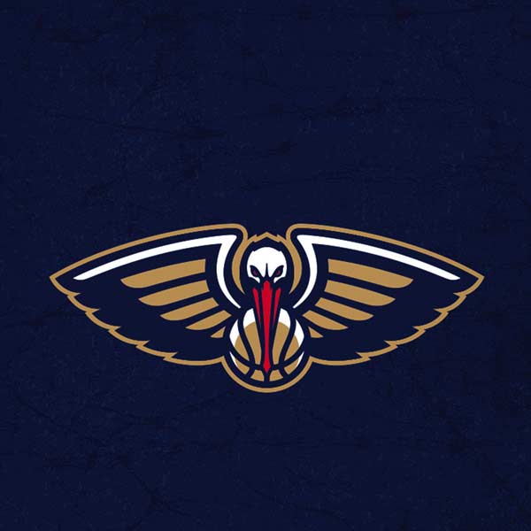 NBA New Orleans Pelicans Distressed iPhone XR Skin