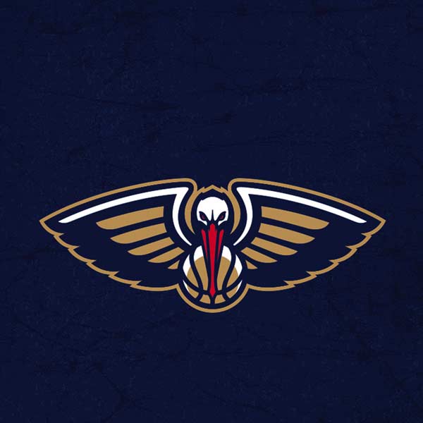 NBA New Orleans Pelicans Distressed iPhone XS Skin