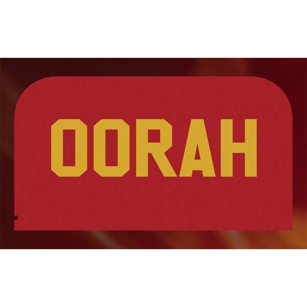 Oorah Military Nintendo Switch 2 (2025) with Joy-Con Skin