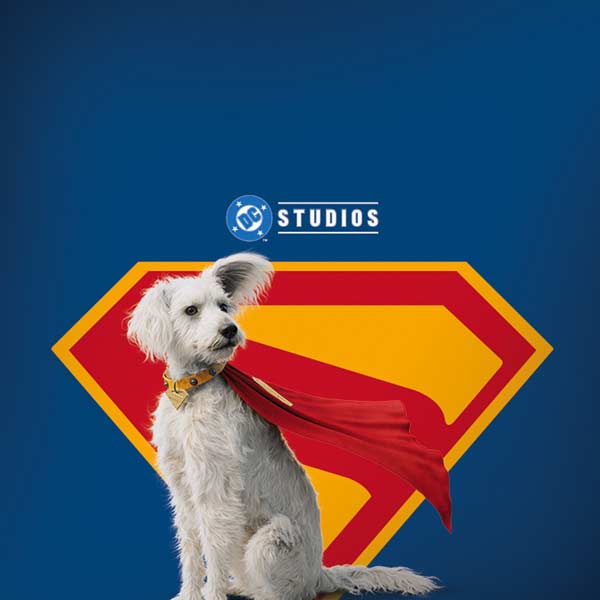 Superman 2025 Krypto the Super Dog iPhone X Skin