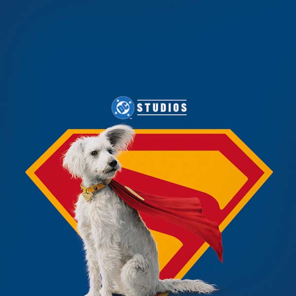 Superman 2025 Krypto the Super Dog iPhone XS Skin