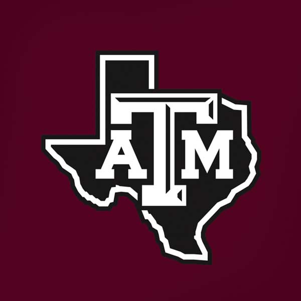 Texas A&M University Black Logo iPhone XS Max Skin