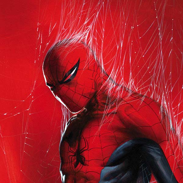 Marvel Spiderman The Amazing Spiderman iPhone XS Pro Case