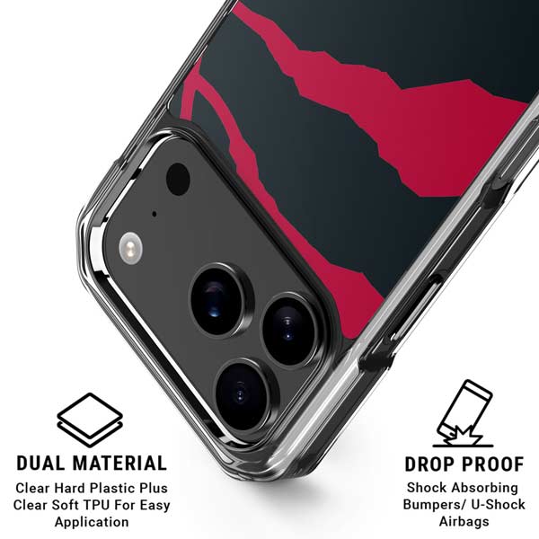 NBA Toronto Raptors Large Logo iPhone 17 Pro MagSafe Case