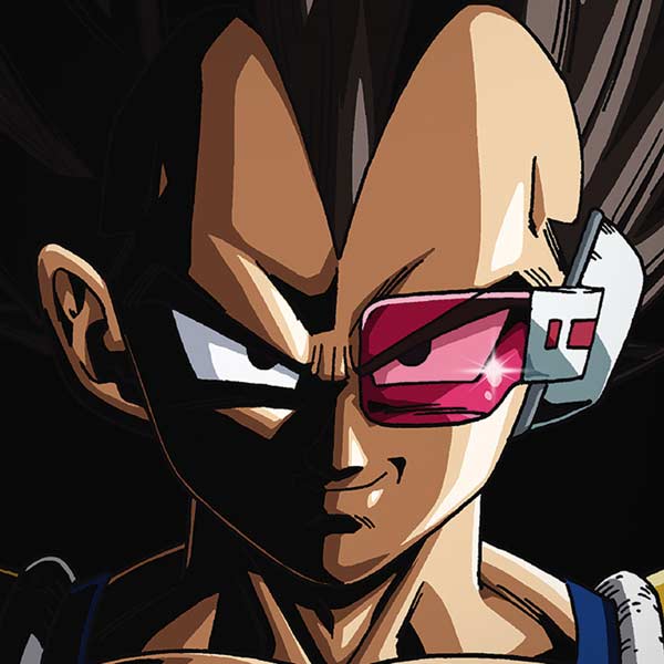 Dragon Ball Z Vegeta Portrait iPhone XR Skin