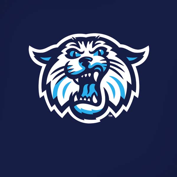 Villanova University V Initial iPhone XS Pro Case
