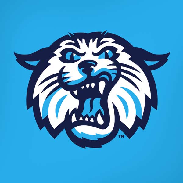 Villanova University Wildcats 1842 iPhone XS Skin