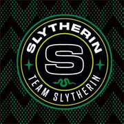 Wizarding Worlds Harry Potter Team Slytherin Wii Remote Controller Skin