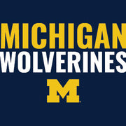 University of Michigan Wolverines M Wii Remote Controller Skin