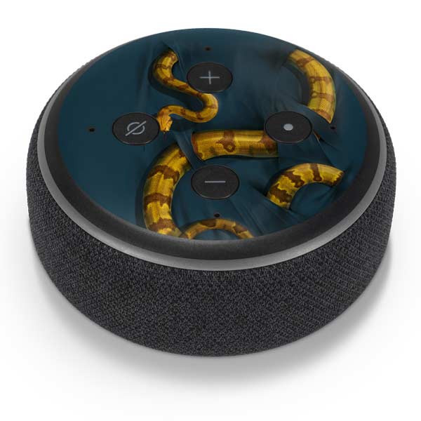 Vincent Hie Boa Constrictor Amazon Echo Dot Skin