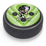 Cartoon Network Powerpuff Girls Buttercup Green Hearts Amazon Echo Dot Skin