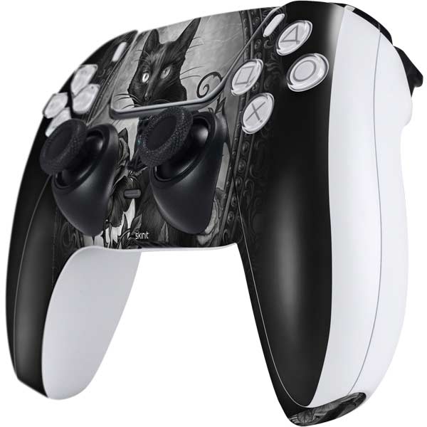 Alchemy Paracelsus - The Philosophers Familiar PS5 Controller Skin – Skinit