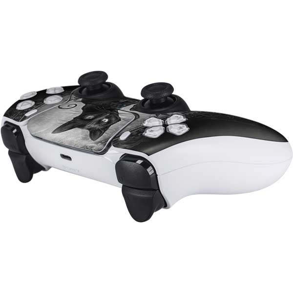 Alchemy Paracelsus - The Philosophers Familiar PS5 Controller Skin – Skinit