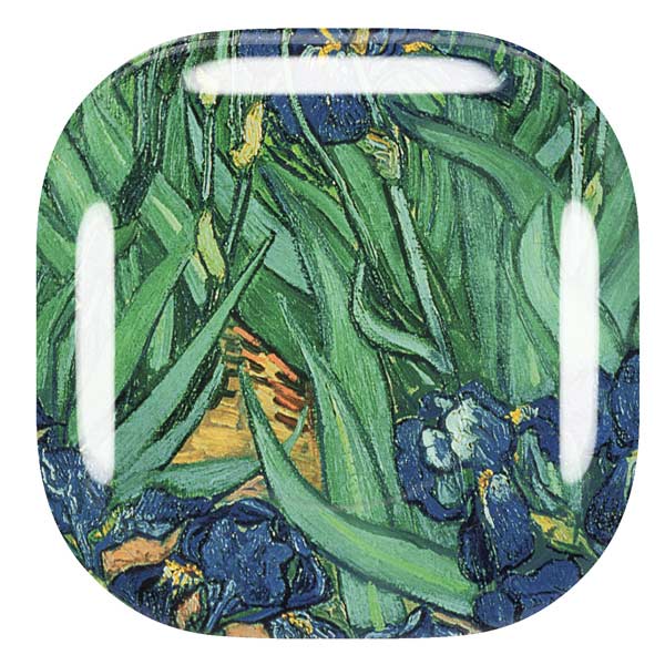 Vincent Van Gogh Irises Galaxy Buds Pro Skin