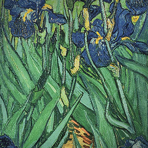 Vincent Van Gogh Irises iPhone X Skin