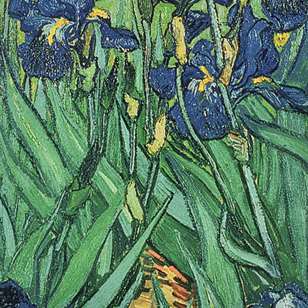 Vincent Van Gogh Irises iPhone XS Skin