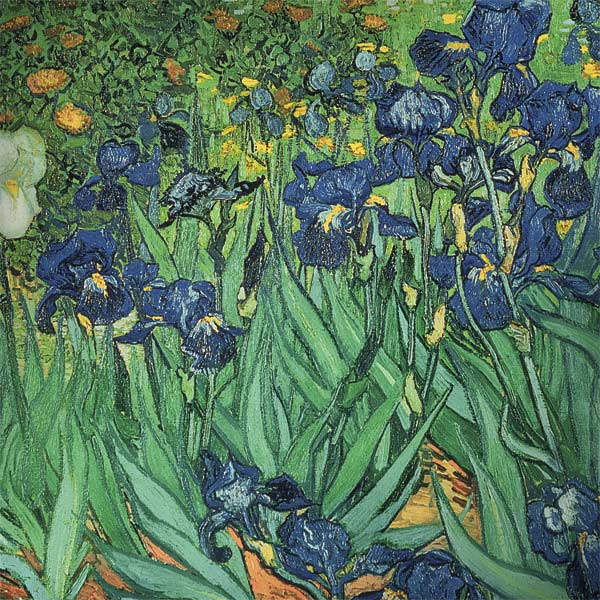 Vincent Van Gogh Irises Surface Book 2 15in Skin