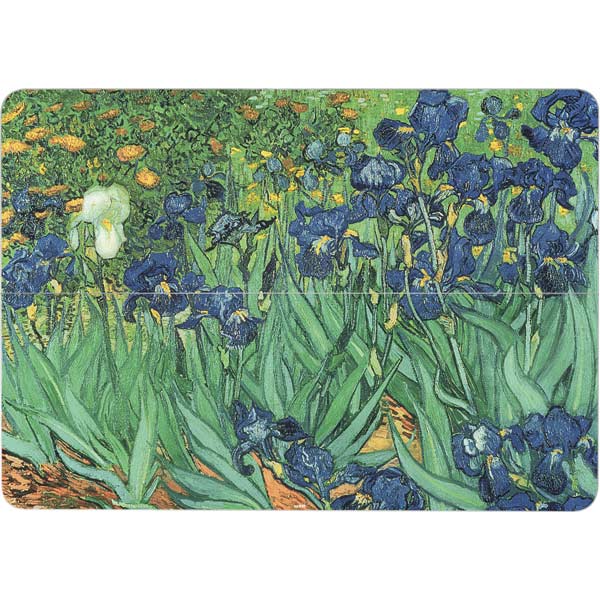 Vincent Van Gogh Irises Surface Laptop Studio Skin